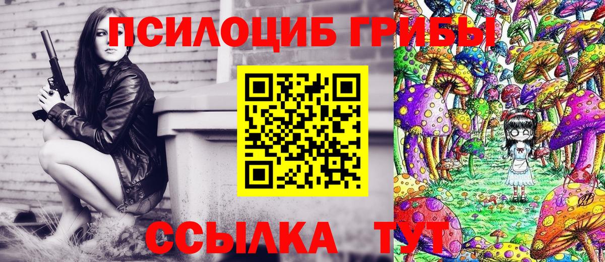 Псилоцибиновые грибы мицелий Дятьково